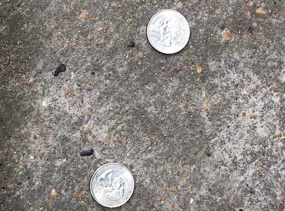 coins in street